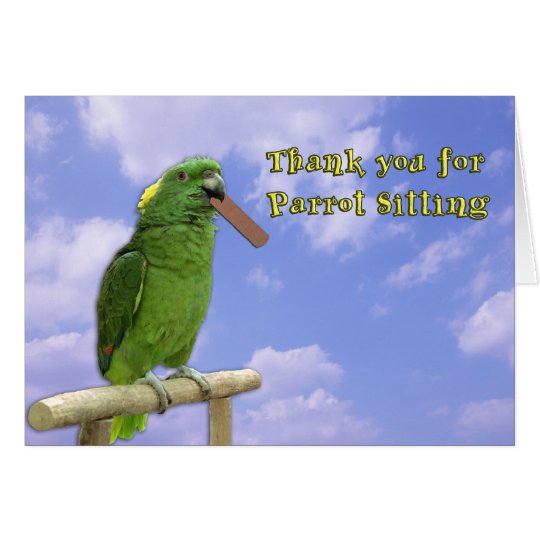 Thank You Parrot Sitting Card