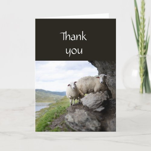 Thank you Pastor Shepherd Lost Flock Sheep