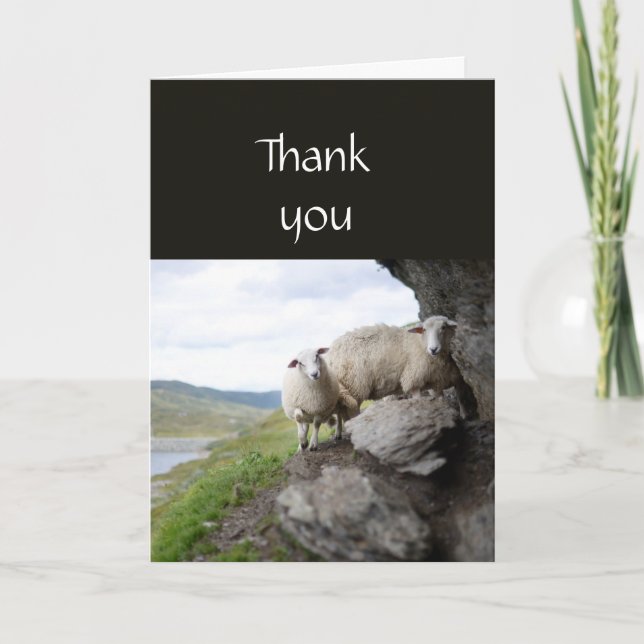Thank you Pastor Shepherd Lost Flock Sheep Card (Front)