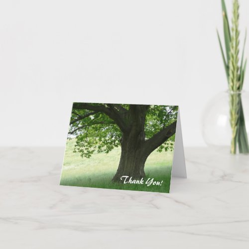 Thank You_Peaceful Tree Landscape Thank You Card