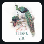 thank you peacock stickers for weddings<br><div class="desc">Use it for your wedding favors,  or change the text and use it on the envelopes as a seal,  change the form and you'll have something for your wedding album too...  Actually,  it can be used almost everywhere...  Thank you peacock couple white stickers!</div>