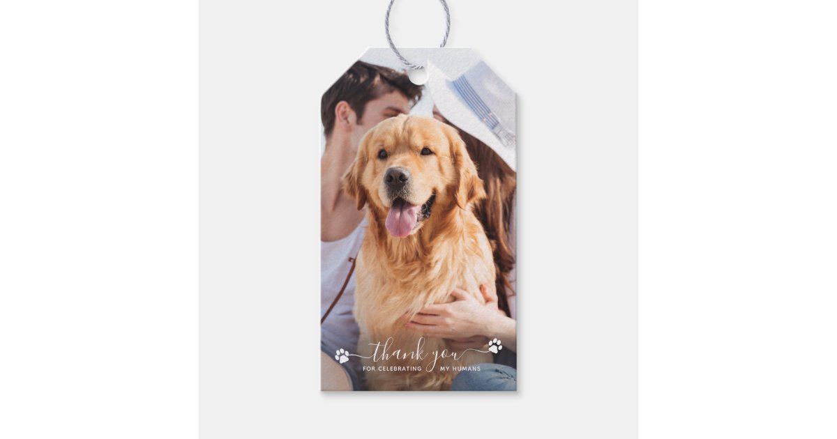 Thank You Personalized Pet Photo Dog Wedding Favor Gift Tags | Zazzle
