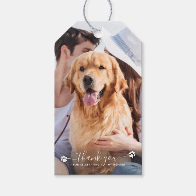 Thank You Personalized Pet Photo Dog Wedding Favor Gift Tags | Zazzle