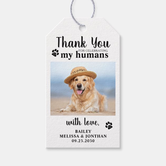Thank You Pet Photo Dog Wedding Favors Gift Tags Zazzle