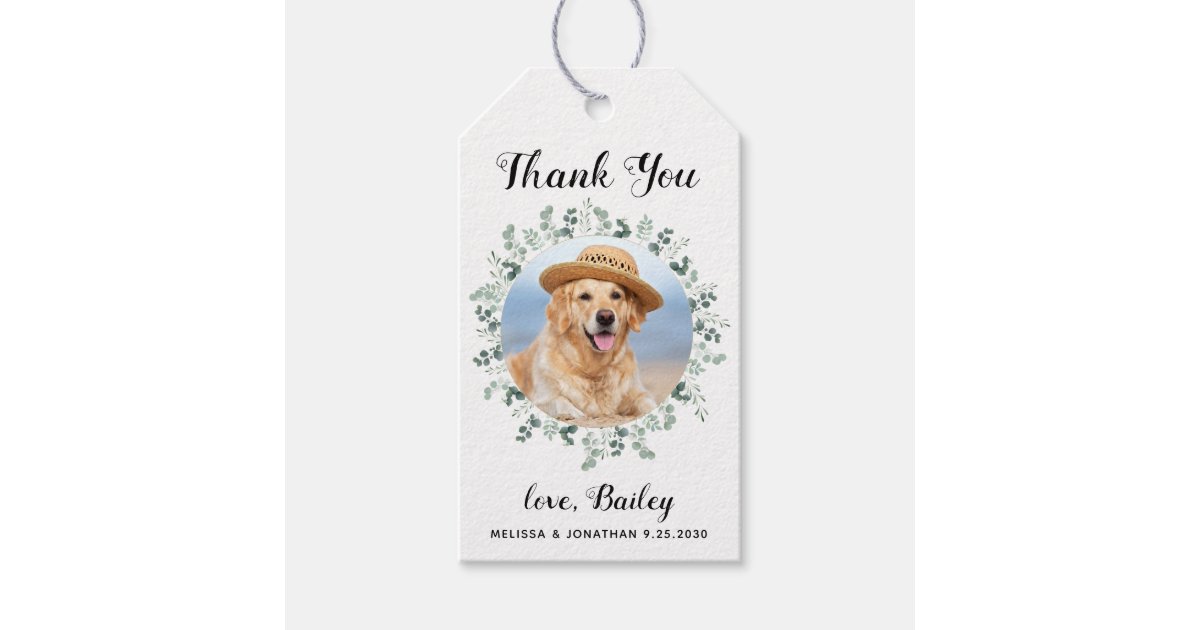 Thank You Pet Photo Eucalyptus Dog Wedding Favor Gift Tags | Zazzle