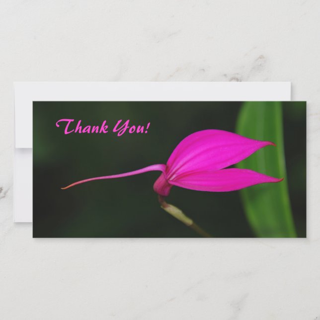 Thank You Photo Card (Front)