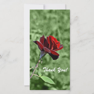 Thank You Photo Card