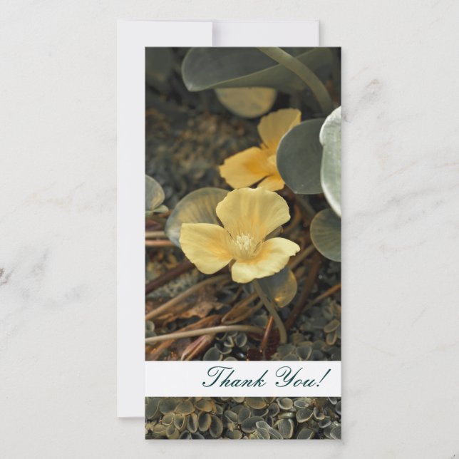 Thank You Photo Card (Front)