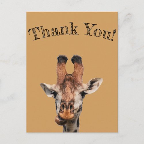 thank youphoto of funny giraffeminimalist postcard