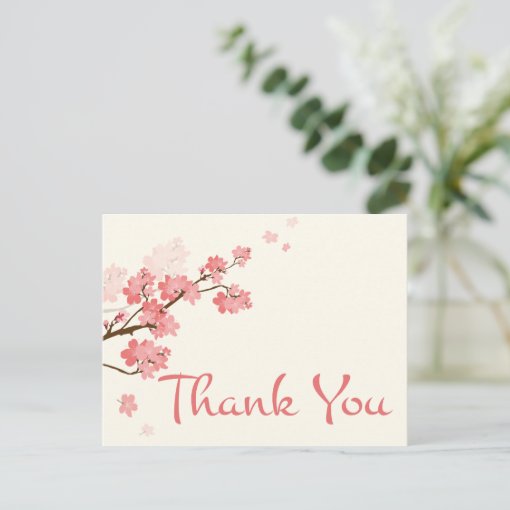 Thank You Pink Cherry Blossom Floral Postcard | Zazzle