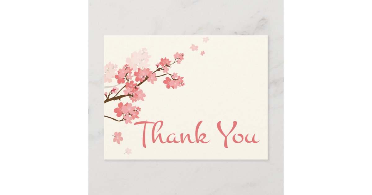 Thank You Pink Cherry Blossom Floral Postcard | Zazzle
