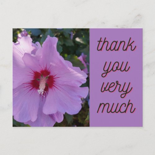 Thank You Pink Hibiscus Flower Card