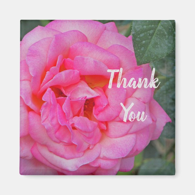 Thank You Pink Rose Bloom Photo Appreciation Magnet (Front)