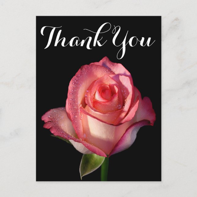 Thank You Pink Rose Flower Black Floral Postcard (Front)