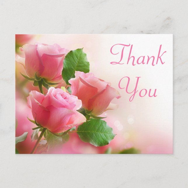 Thank You Pink Rose Flower Blank Floral Post Card (Front)