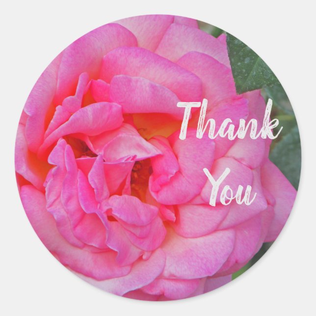 Thank You Pink Rose Flower Photo Appreciation Classic Round Sticker (Front)