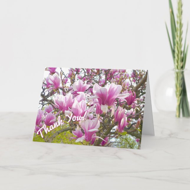 Thank You/Pink Saucer Magnolia Card (Front)