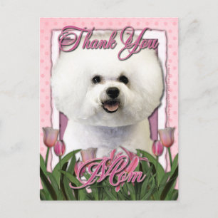 Thank You - Pink Tulips - Bichon Frise Postcard