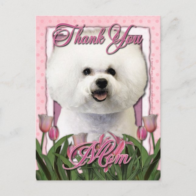 Thank You - Pink Tulips - Bichon Frise Postcard (Front)