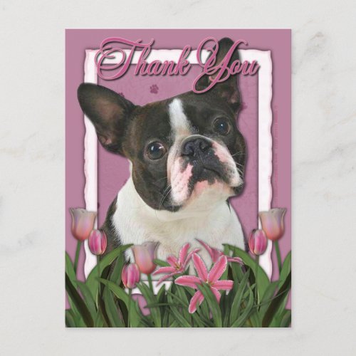 Thank You _ Pink Tulips _ Boston Terrier Postcard