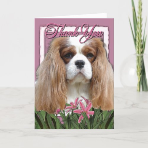 Thank You _ Pink Tulips _ Cavalier _ Blenheim