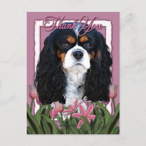Thank You _ Pink Tulips _ Cavalier _ Tri_Color Postcard