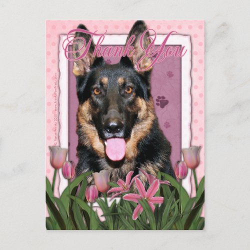 Thank You _ Pink Tulips _ German Shepherd _ Kuno Postcard