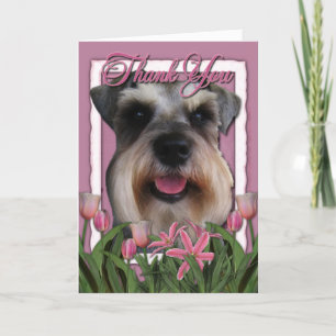 Thank You - Pink Tulips - Schnauzer Card