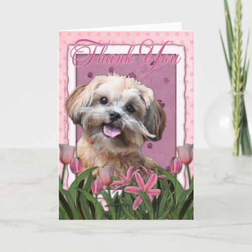 Thank You _ Pink Tulips _ ShihPoo _ Maggie
