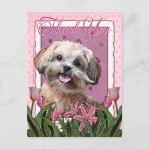 Thank You _ Pink Tulips _ ShihPoo _ Maggie Postcard