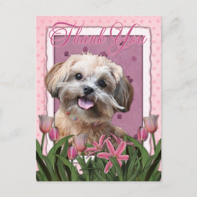 Thank You - Pink Tulips - ShihPoo - Maggie Postcard (Front)