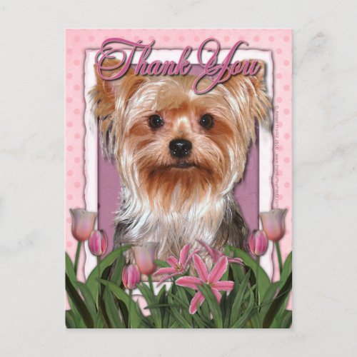 Thank You _ Pink Tulips _ Yorkshire Terrier Postcard