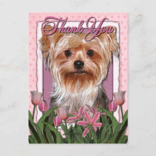 Thank You - Pink Tulips - Yorkshire Terrier Postcard (Front)