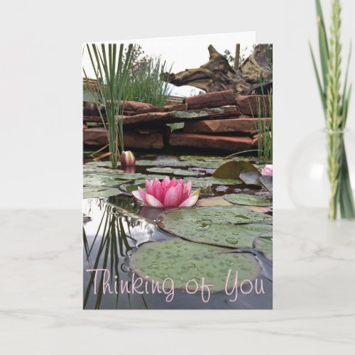Thank You Pink Water Lilies Reflections Photograph Card