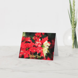 Thank You Poinsettas Card