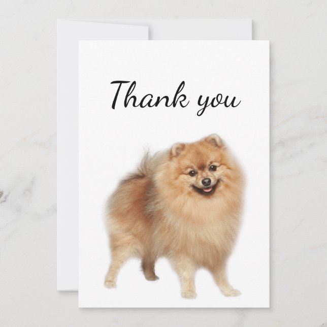 Thank You Pomeranian Dog Pet Animal  (Front)