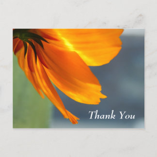 Thank You Postcard