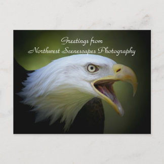 Thank you postcard