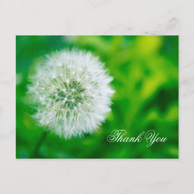 Thank You  Postcard (Front)