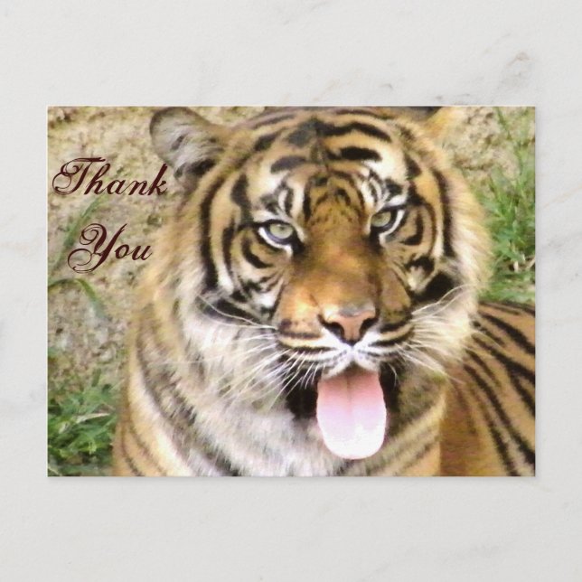 Thank You_ Postcard (Front)