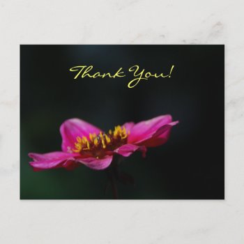 "thank You Postcard" Postcard by pulsDesign at Zazzle