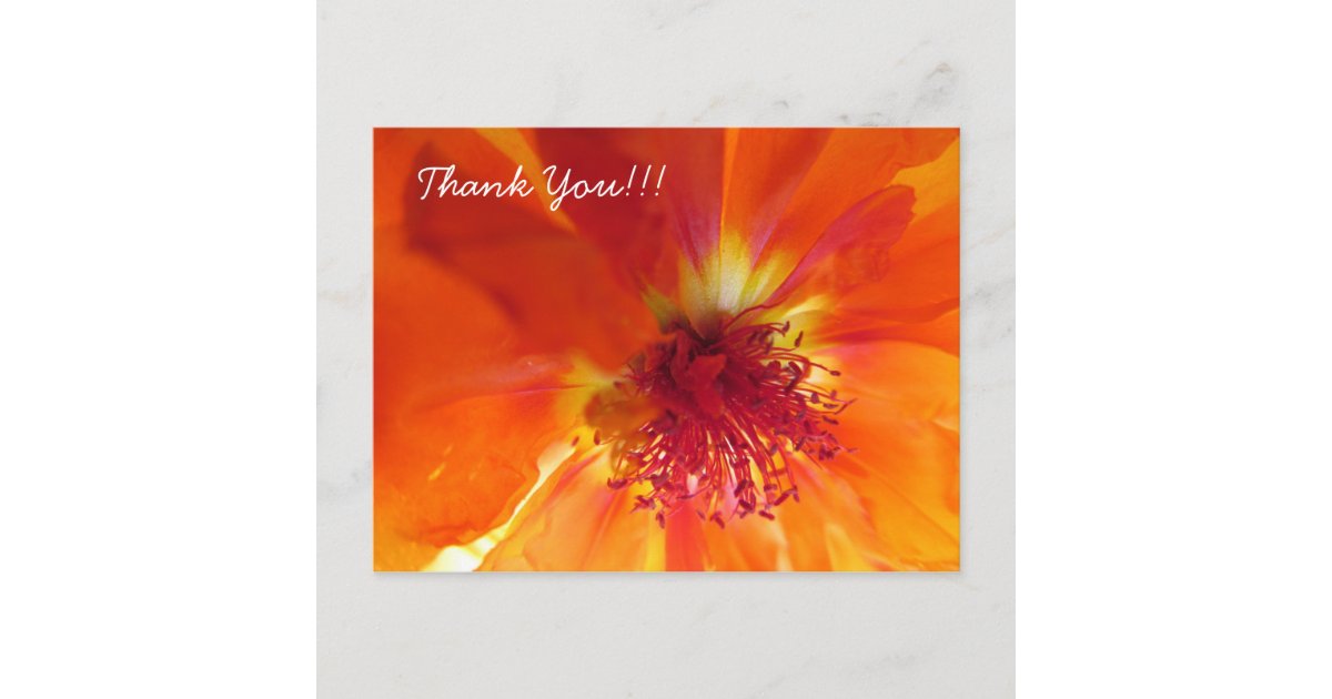 Thank You Postcard with orange flower | Zazzle
