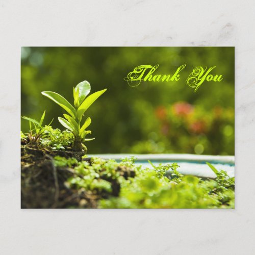 Thank you _  postcards