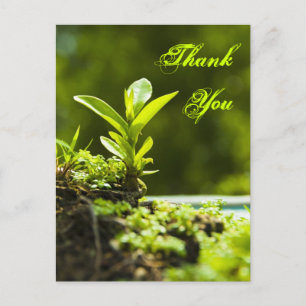 Thank you -  postcards