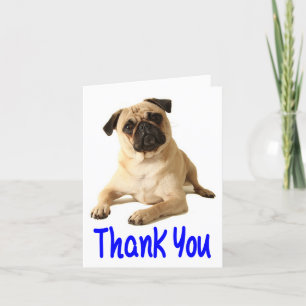 Thank You Pug Puppy Dog Blank Note Card