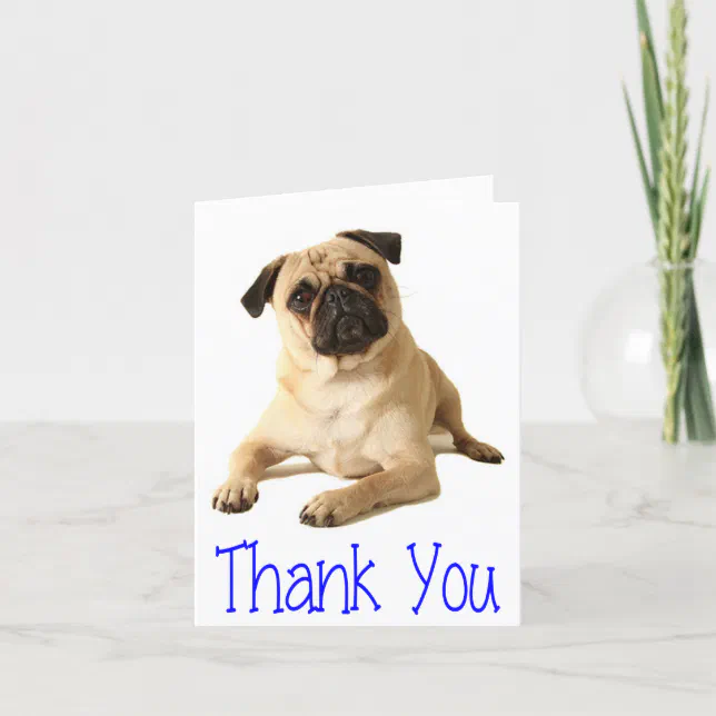 Thank You Pug Puppy Dog Blank Note Card | Zazzle