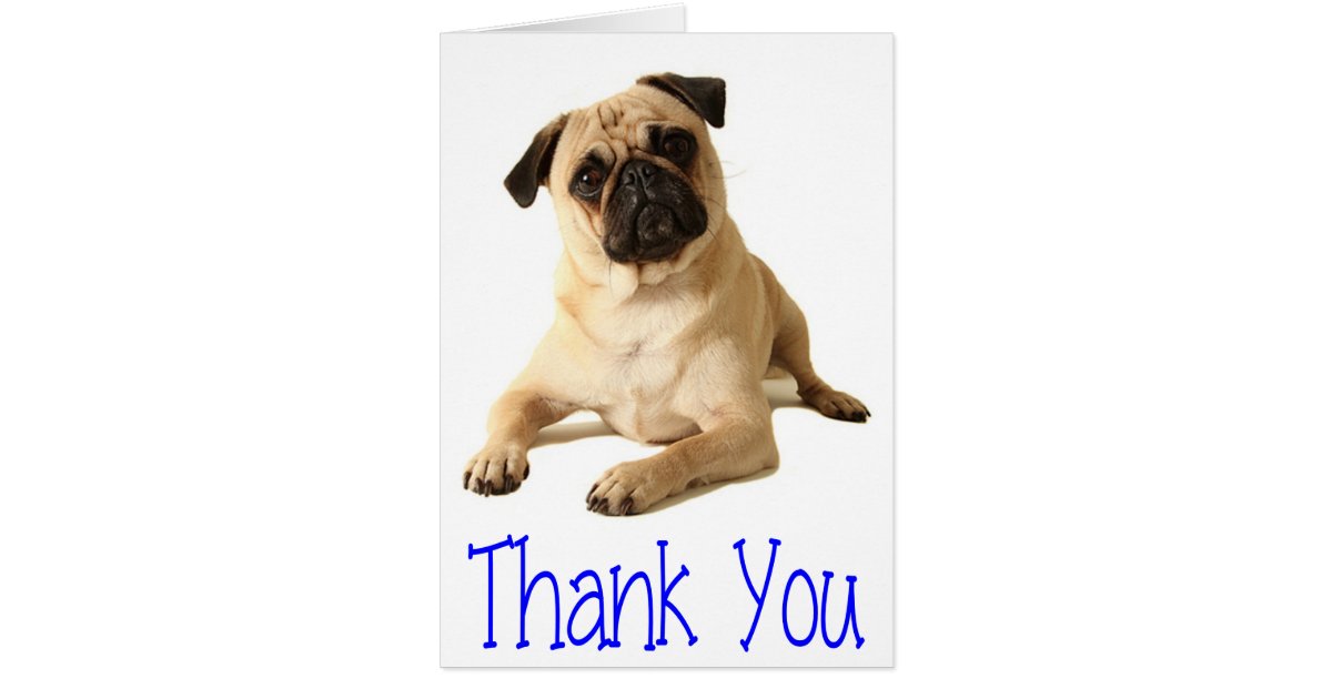 Thank You Pug Puppy Dog Blank Note Card | Zazzle.com