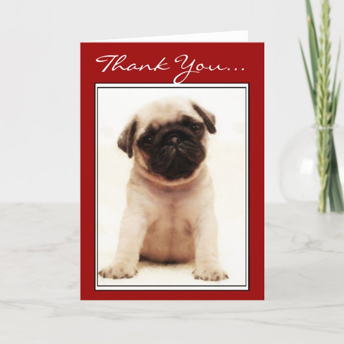 Thank You Pug puppy greeting card | Zazzle.com