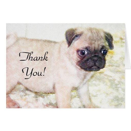 Thank You Pug Puppy greeting card | Zazzle