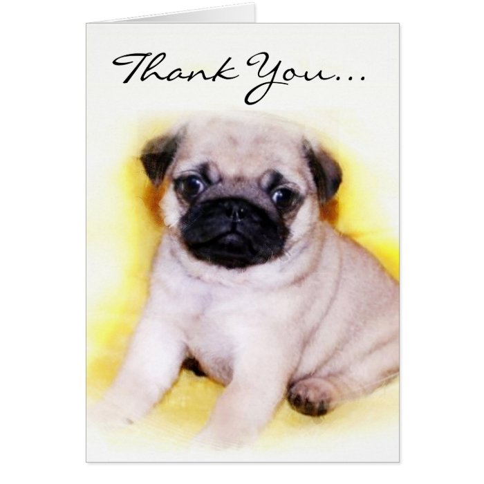 Thank You Pug Puppy greeting card